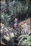 Pig festival, wig ritual: Akis with red wig (mamp gunc) for dedication to red spirits