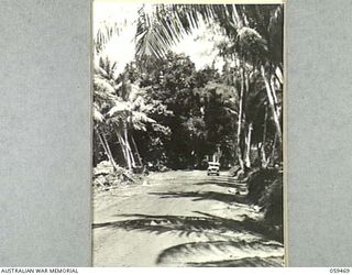 MILNE BAY, NEW GUINEA, 1943-08. THE ROAD ALONG THE BEACH FRONT NEAR THE LADAVA MISSION