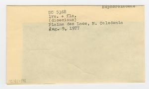 [Euphorbiaceae in New Caledonia, envelope IE41-198]