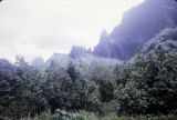 French Polynesia, landscape and mountains of Moorea Island