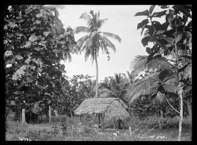 Fale or Samoan Hut