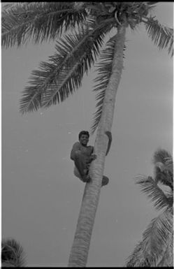 Fieldwork in Fiji