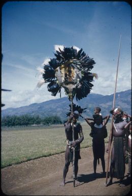 The bride payment, back view : Wahgi Valley, Papua New Guinea, 1955 / Terence and Margaret Spencer