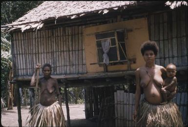 Mosquito traps on houses (3) : Bwalalea village, D'Entrecasteaux Islands, Papua New Guinea, 1956-1958 / Terence and Margaret Spencer