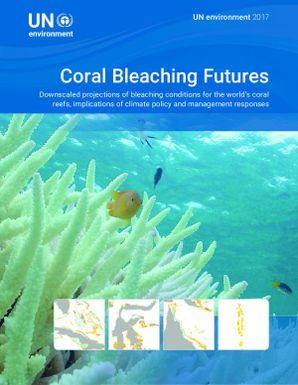 Coral bleaching futures