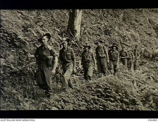 New Guinea. 1943-07-20. Walking wounded and sick personnel of the 2/5th Australian Infantry Battalion, AIF, moving along a jungle track to House Banana Staging Camp near Mubo. From the left they ..