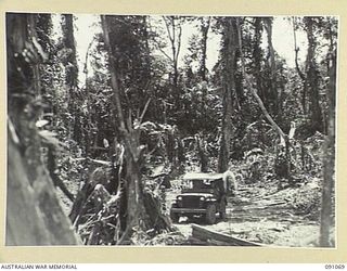 BOUGAINVILLE. 1945-04-21. VIEW AT SLATER'S KNOLL OF TEMPORARY CORDUROY ROAD OVER WHICH SUPPLIES ARE TAKEN THROUGH TO FORWARD TROOPS DURING THE PUSH TO HATAI JUNCTION. 15 FIELD COMPANY, ROYAL ..