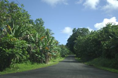 [Assignment: 48-DPA-SOI_K_Pohnpei_6-10-11-07] Pacific Islands Tour: Visit of Secretary Dirk Kempthorne [and aides] to Pohnpei Island, of the Federated States of Micronesia [48-DPA-SOI_K_Pohnpei_6-10-11-07__DI13976.JPG]