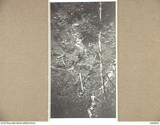 Ramu Valley, New Guinea. 1944-03. A view of a Japanese built road between Bogadjim and the Ramu Valley. The photograph was taken during a reconnaissance by Lieutenant Colonel R.B. Wood, Commanding ..