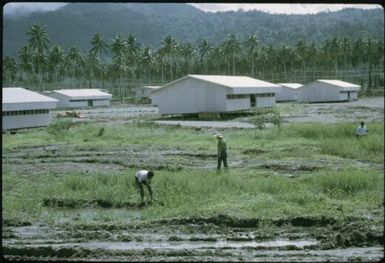 Arawa (buildings) : Bougainville Island, Papua New Guinea, April 1971 / Terence and Margaret Spencer