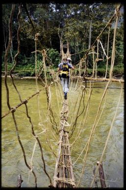 Viv Whitaker crossing vine swingbridge