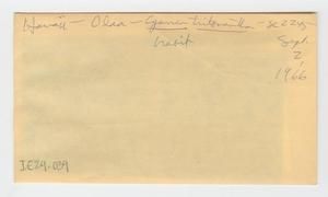 [Cyanea tritomantha in Hawaii, envelope IE29-039]
