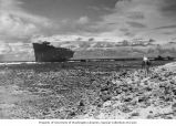 Wreck of the freighter ship NICKAJACK TRAIL as seen from Japtan Island's ocean reef, summer 1964