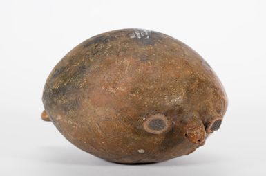Saqa Vonu