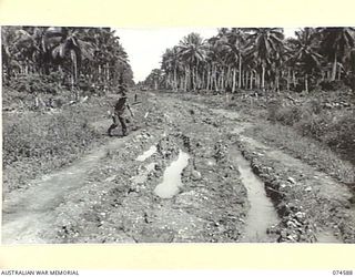 NAGADA, NEW GUINEA. 1944-07-09. VX132621 LIEUTENANT F.G. TAYLOR, 15TH FIELD COMPANY, (1) EXAMINING A SECTION OF THE MADANG - ALEXISHAFEN ROAD WHICH HIS UNIT HAD UNDERTAKEN TO REBUILD, AFTER IT HAD ..