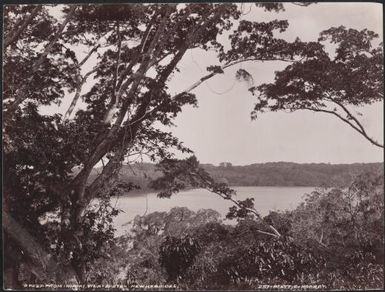 Vila Harbour, New Hebrides, 1906, 3 / J.W. Beattie