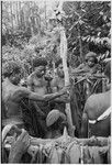 Pig festival, pig sacrifice, Tsembaga: in ancestral shrine, men place hands on center post (for sacrifice house) as it is thrust into the ground