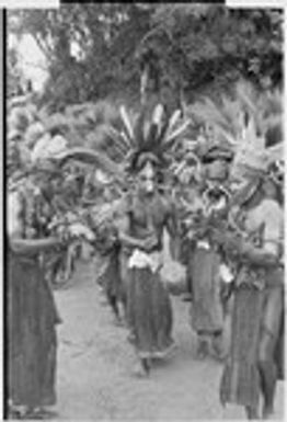 Pig festival, singsing: decorated men dance and play kundu drums