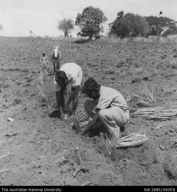 Soil conservation, Moto Estate