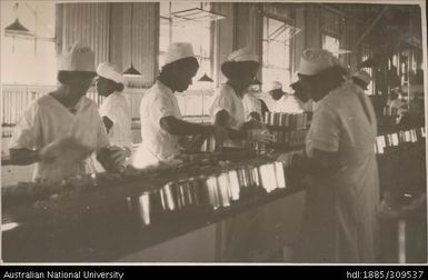 Packing fingers, Pineapple Cannery