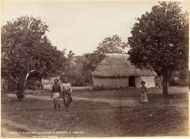 Tongan Village, Neiafu, Vavau