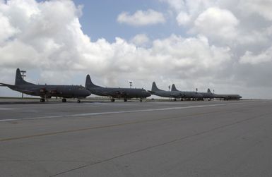 Derivatives of the US Navy (USN) P-3 Orion Aircraft representing the Royal Canadian Air Force (RCAF) CP-140 Aurora (left), 407th Maritime Patrol Squadron, British Columbia, and Royal Australian Air Force (RAAF) P-3C/AP-3C Orion, 92nd Wing, RAAF Maritime Patrol Group (MPG), RAAF Edinburgh, South Australia, sit on the flightline at Andersen Air Force Base (AFB), Guam. At the end of the line, a USN P-3 Orion aircraft, Patrol Squadron 9 (VP-9), Marine Corps Base Hawaii (MCBH), Kaneohe Bay, Hawaii. The aircraft are on station to participate in the joint exercise TANDEM THRUST 03, a joint US, Canada, and Australia exercise conducted in the Marianas islands to include Guam and Tinian