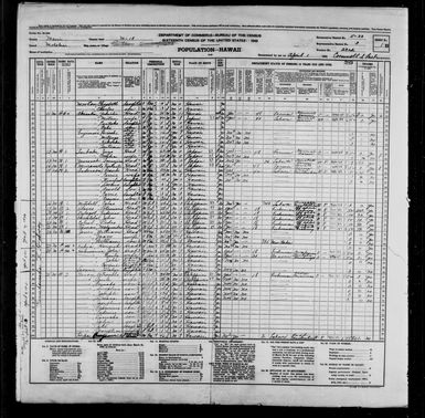 1940 Census Population Schedules - Hawaii - Maui County - ED 5-33