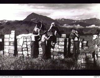 RAMU VALLEY, NEW GUINEA. 1943-10-07. TROOPS OF THE 2/2ND AUSTRALIAN SUPPLY DEPOT COMPANY, AUSTRALIAN ARMY SERVICE CORPS, 7TH AUSTRALIAN DIVISION, PREPARING RATIONS FOR CONSIGNMENT TO UNITS AT THE ..