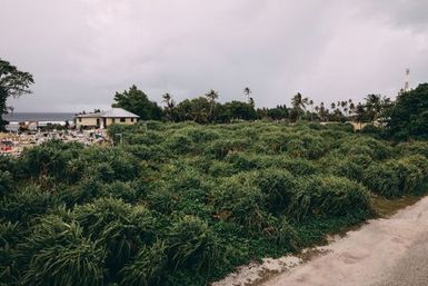 Cemetery, Nukunonu, Tokelau