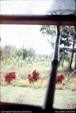 Garden view from the window