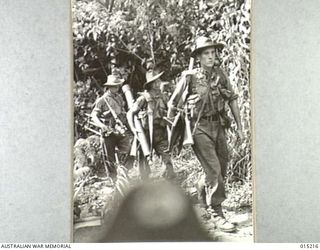 1943-07-08. NEW GUINEA. WAU-MUBO AREA. A PATROL MOVES FORWARD ALONG THE MUBO TRACK. (NEGATIVE BY G. SHORT)