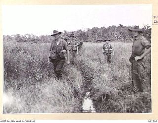 WEWAK AREA, NEW GUINEA, 1945-05-20. PTE BREWSTER (1) AND LT WHITESIDE (2), MEMBERS OF TANK ATTACK PLATOON, 2/8 INFANTRY BATTALION ADVANCING BEHIND TANKS ON THE BORAM STRIP