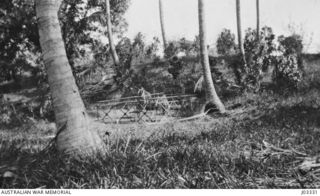 NEW GUINEA. THE GRAVE OF LIEUTENANT COMMANDER CHARLES B. ELWELL RN IN THE GARDEN OF A GERMAN BUNGALOW ABUTTING ON THE BEACH AT KABAKAUL. HE WAS KILLED IN ACTION AGAINST THE GERMANS 11 SEPTEMBER ..