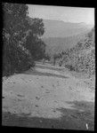 Road to Kavieng, near Katendan, New Ireland