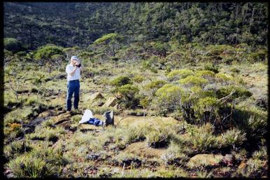 John Dawson and Metrosideros tetrasticha, 1390 m