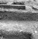 Su-Le-12, excavation complete, square F5, east wall, showing section of burial.
