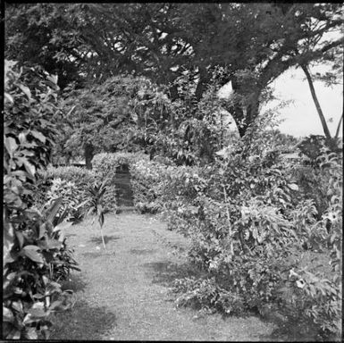 Archway cut into hedge in the Chinnery's garden, Malaguna Road, Rabaul, New Guinea, ca. 1936 / Sarah Chinnery