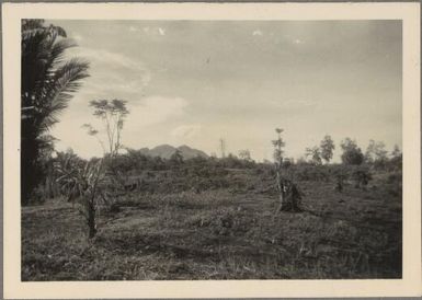 [Devastated areas from Mt Lamington eruption, 1951], 1 / Albert Speer