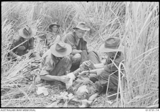 An Australian soldier wounded in fighting in the Gona area receives treatment before being taken to a dressing station. This photograph was taken less than one hundred yards from Japanese positions