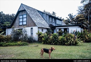 Cook Islands - Building with steep roofs, dog