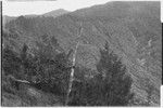 Bismarck Range mountains, as seen from Cook's house