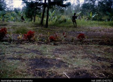 Males throwing spears