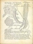 About Philippine Foods, monthly issue, Foods and Nutrition, 1965-02