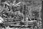 Bomagai: woman, wearing clay as sign of mourning, inside a house fence