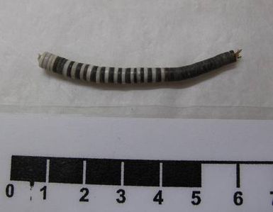 ornament, fragment