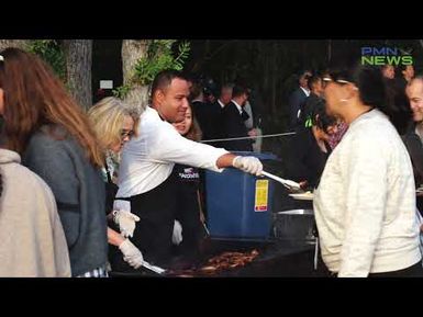 Waitangi Day provides new experience for Pacific community leaders and MPs