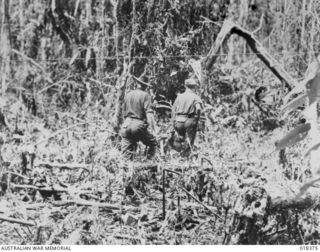BOUGAINVILLE. 1945. THIS SECTION OF THE JUNGLE WAS LEVELLED BY ARTILLERY FIRE AND THE POSITION TAKEN BY BAYONET ATTACK