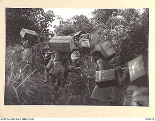 DAGUA AREA, NEW GUINEA. 1945-04-04. A BOONG (NATIVE) KAI (FOOD) LINE ESCORTED BY 2/3 INFANTRY BATTALION TROOPS, STRUGGLING UP A MUDDY 2 IN 1 GRADE WITH STORES FOR FORWARD TROOPS