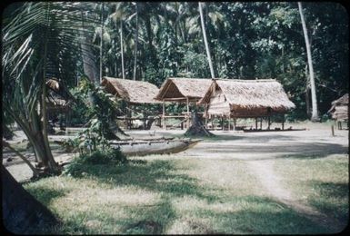 Typical houses : Environs of Mapamoiwa, D'Entrecasteaux Islands, Papua New Guinea, 1956 / Terence and Margaret Spencer