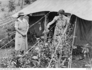 1943-04-01. AUSTRALIAN NURSES IN NEW GUINEA. TO BRIGHTEN UP THEIR LIVING QUARTERS NURSES HAVE PLANTED FLOWERES NEAR THEIR TENTS AT AN AUSTRALIAN GENERAL HOSPITAL IN NEW GUINEA. SISTER M. MCILRATH ..